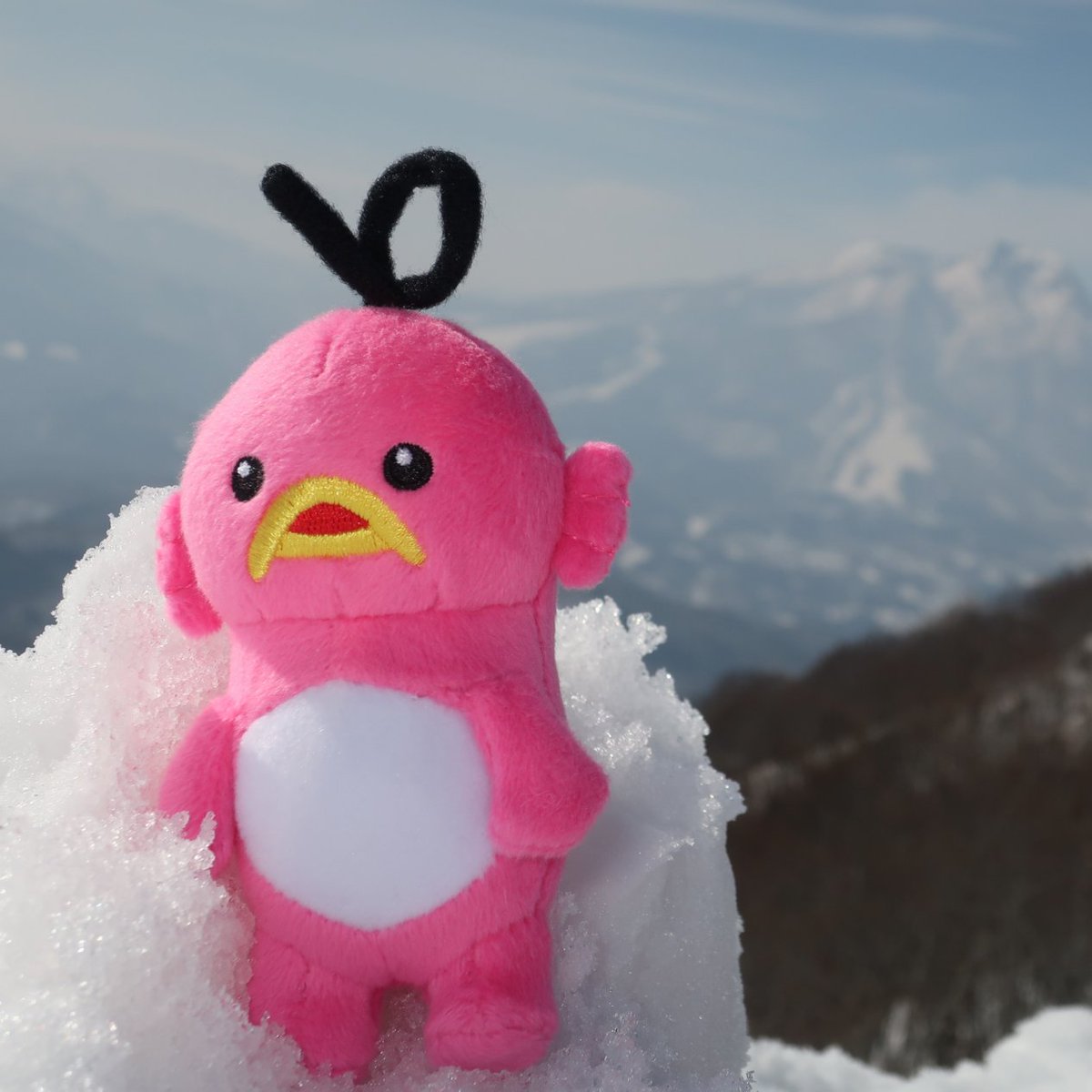 abciee's tweet photo. おっきな山にのぼったら
雪がつもってたシ！！！

びっくりだシ～(ε*´Д｀)3

#エビシー #山 #積雪 https://t.co/fwndyA9EAf