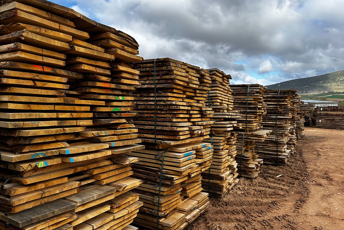 GrupoGamiz's tweet photo. Una tabla de roble puede sobrevivir a la sierra… y morir en el secadero.
Demasiado rápido y se abre por las testas. Desigual y se retuerce meses después, ya en obra.
Buena noticia: en Campezo secamos lo que aserramos 👇
https://t.co/X3UuzkBG39 https://t.co/iOYVgji9Kl