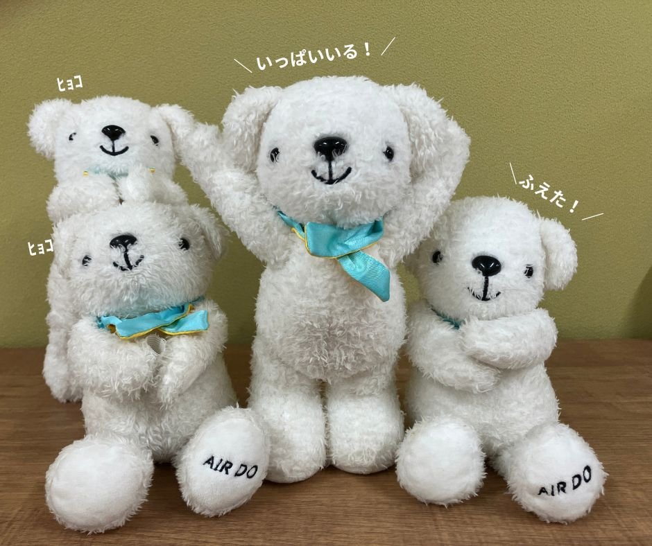 airdo_hokkaido's tweet photo. ベア・ドゥが増えたということは…👇👇👇 https://t.co/BHTihFbssW
