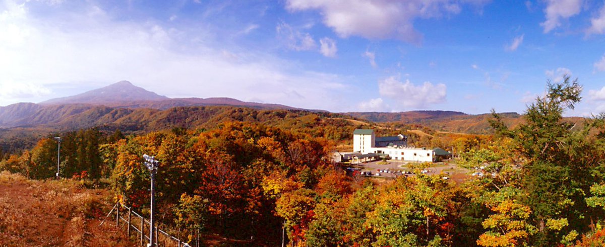ForestaChokai's tweet photo. 秋田県で紅葉を楽しむ予定がある方は、ぜひフォレスタ鳥海へも足を運んでみて下さい🍁
当ホテルはブナの原生林に囲まれた自然豊かな場所に位置しています。
夏は青葉が美しい場所ですが、秋には黄金色や茜色へ移ろう姿がとても魅力的です✨️

#akita #fall #ブナの森　#紅葉　#フォレスタ鳥海 https://t.co/UkCkkiOx1o