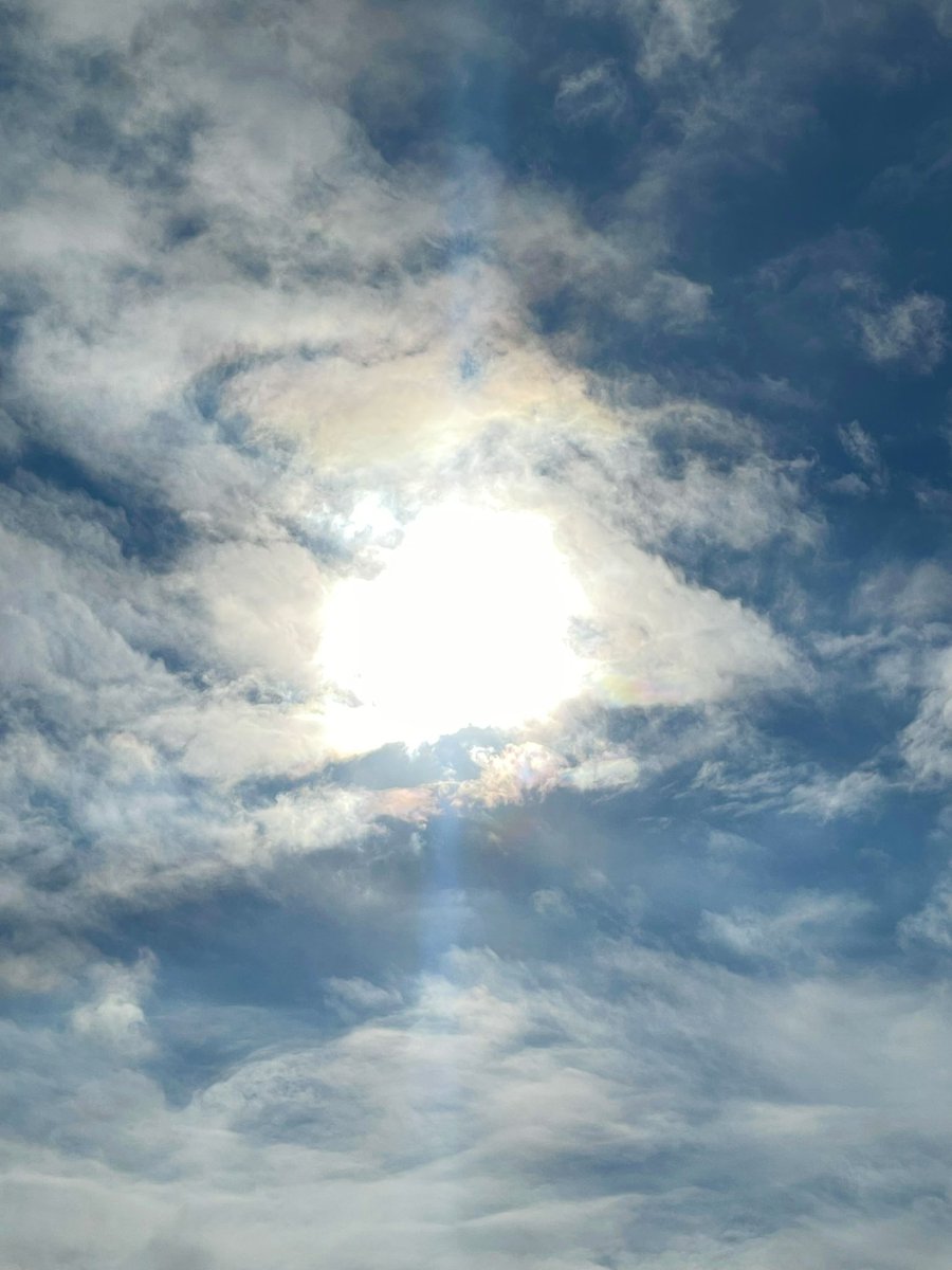 _Senjyu_ tweet picture