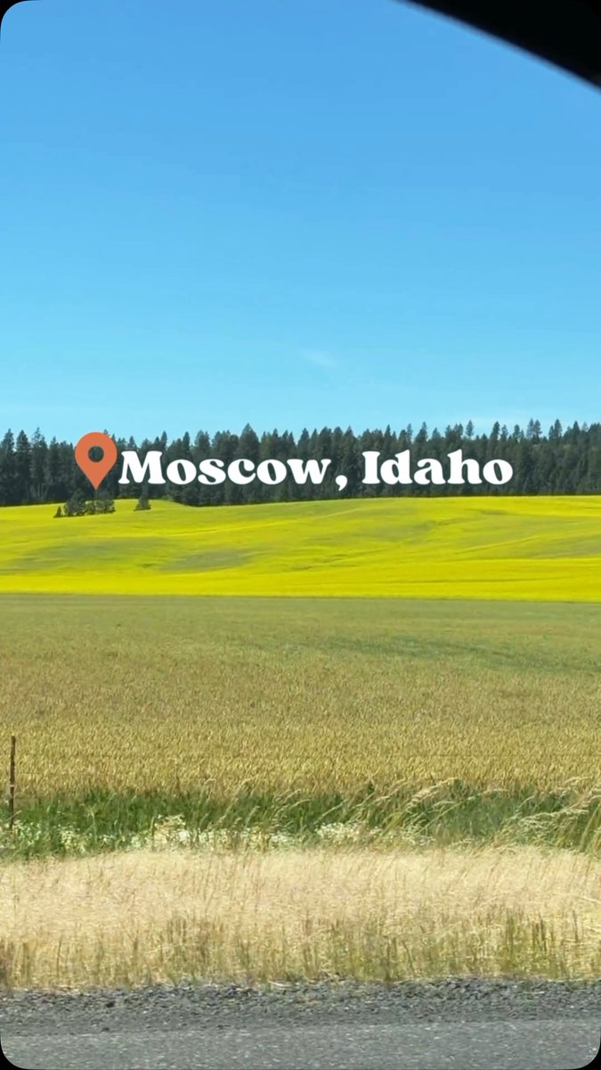 LeesaJespersen's tweet photo. Moscow, Idaho

POV: You’ve found one of Idaho’s most underrated weekend getaways. Day 1
Grab coffee and explore historic downtown
Browse local boutiques and bookstores
Discover vibrant murals and the arts scene
Catch a show at the Kenworthy https://t.co/17Y1LpTazs