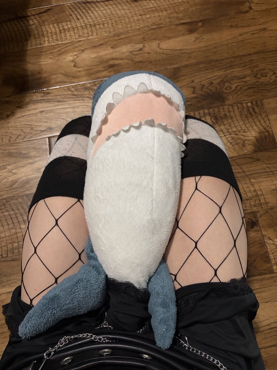 femboy_qb's tweet photo. Who’s trying to trade places with Haj? #femboy #thighs #blahaj https://t.co/6OSFRbUXpo