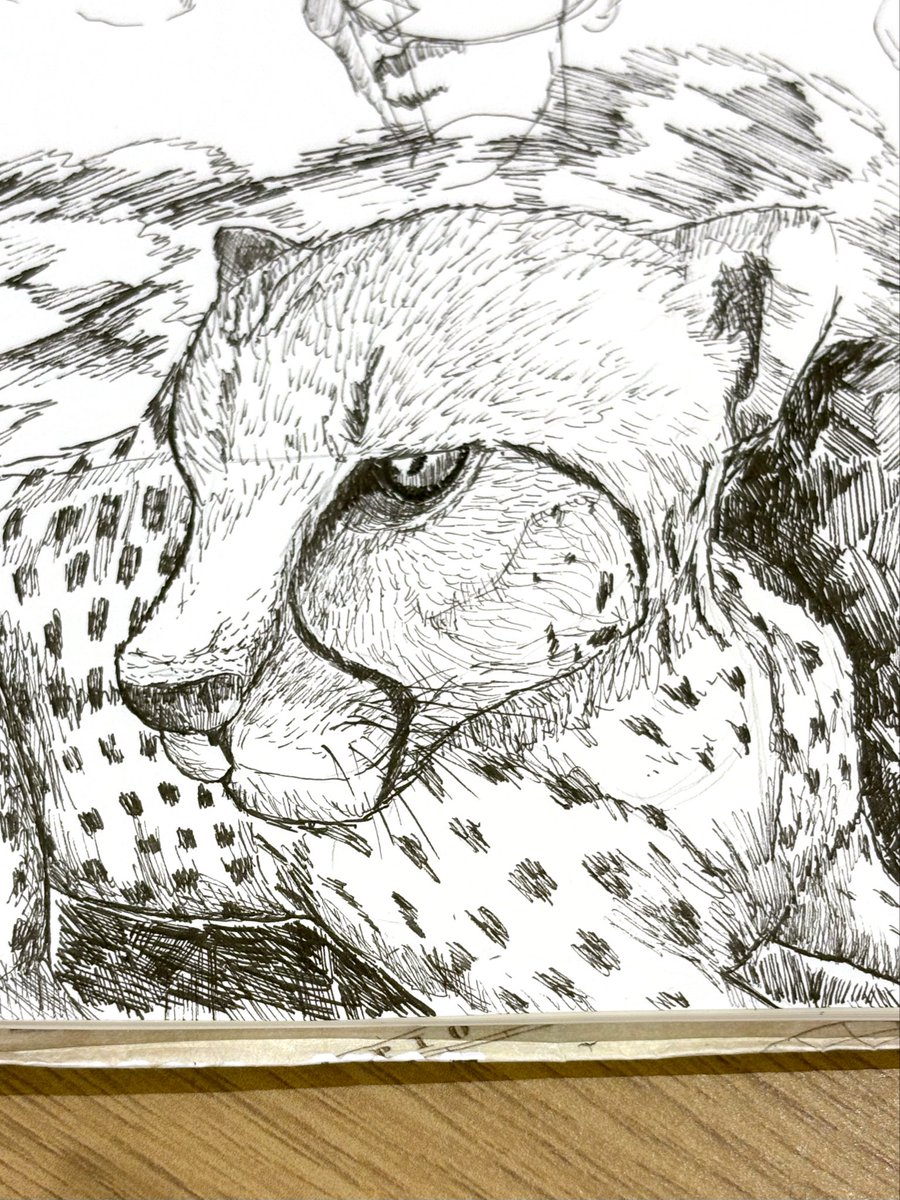 mattun_dredd's tweet photo. 知らなかった！
チーターって優しいんだって🐆
#ペン画 https://t.co/BppjgHYZTo