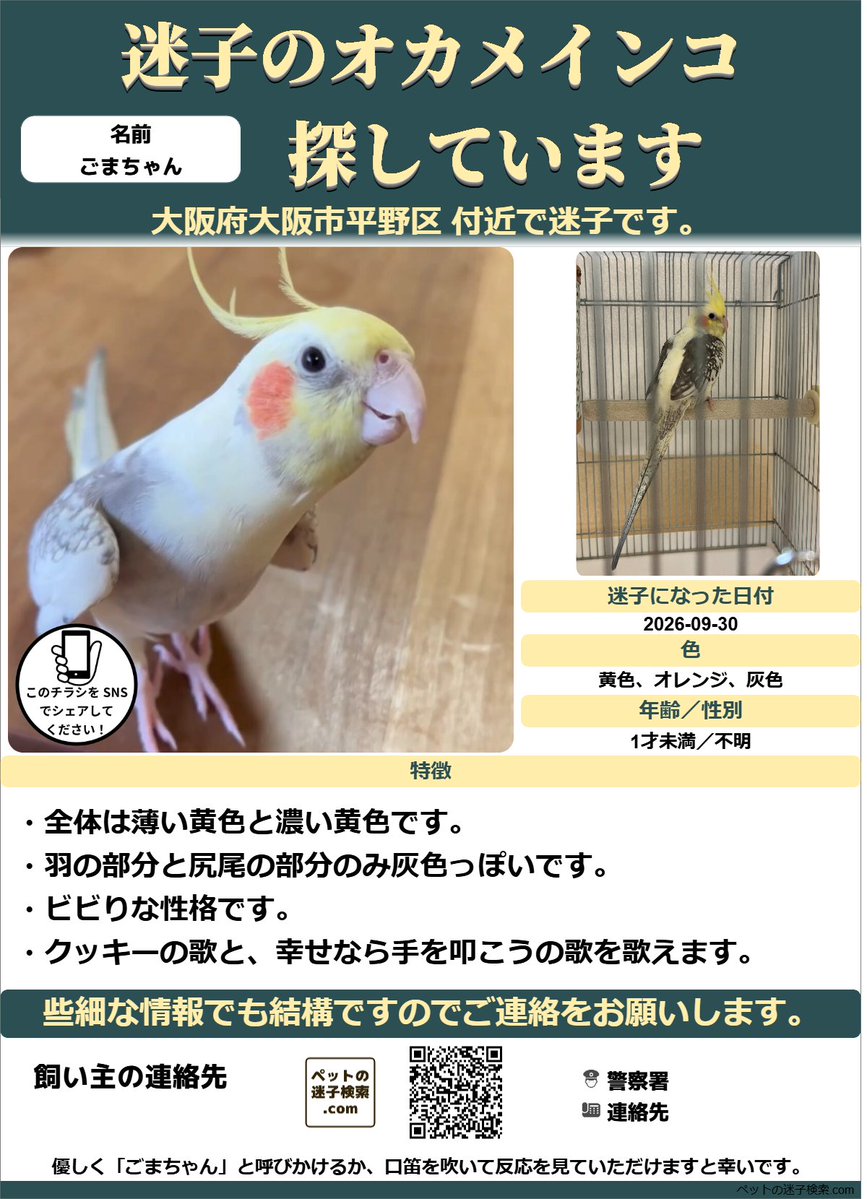 maigokensaku's tweet photo. 以下内容をSNSで拡散させていただきました。
https://t.co/ePvQhBHcrw

勝手ではございますがチラシを作成させていただきました。
↓こちらのような感じでチラシを利用していただくと有効かと思います。
https://t.co/mZZtLX2eV1

#迷子 #鳥 #迷い鳥 #迷いインコ #大阪府 #オカメインコ https://t.co/XMCpHdo1Xr