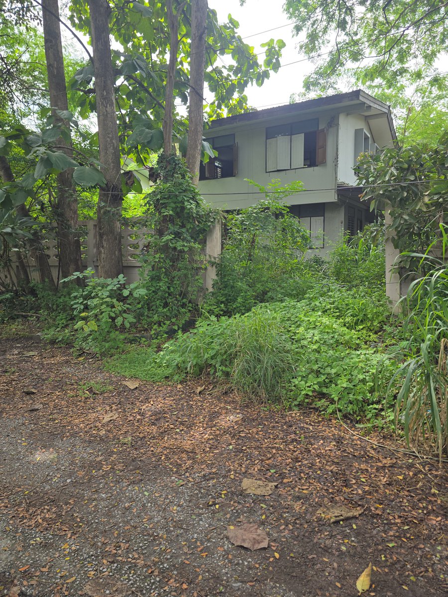 Goutdoor2's tweet photo. เสียวโครต https://t.co/asU5ZpR9OD