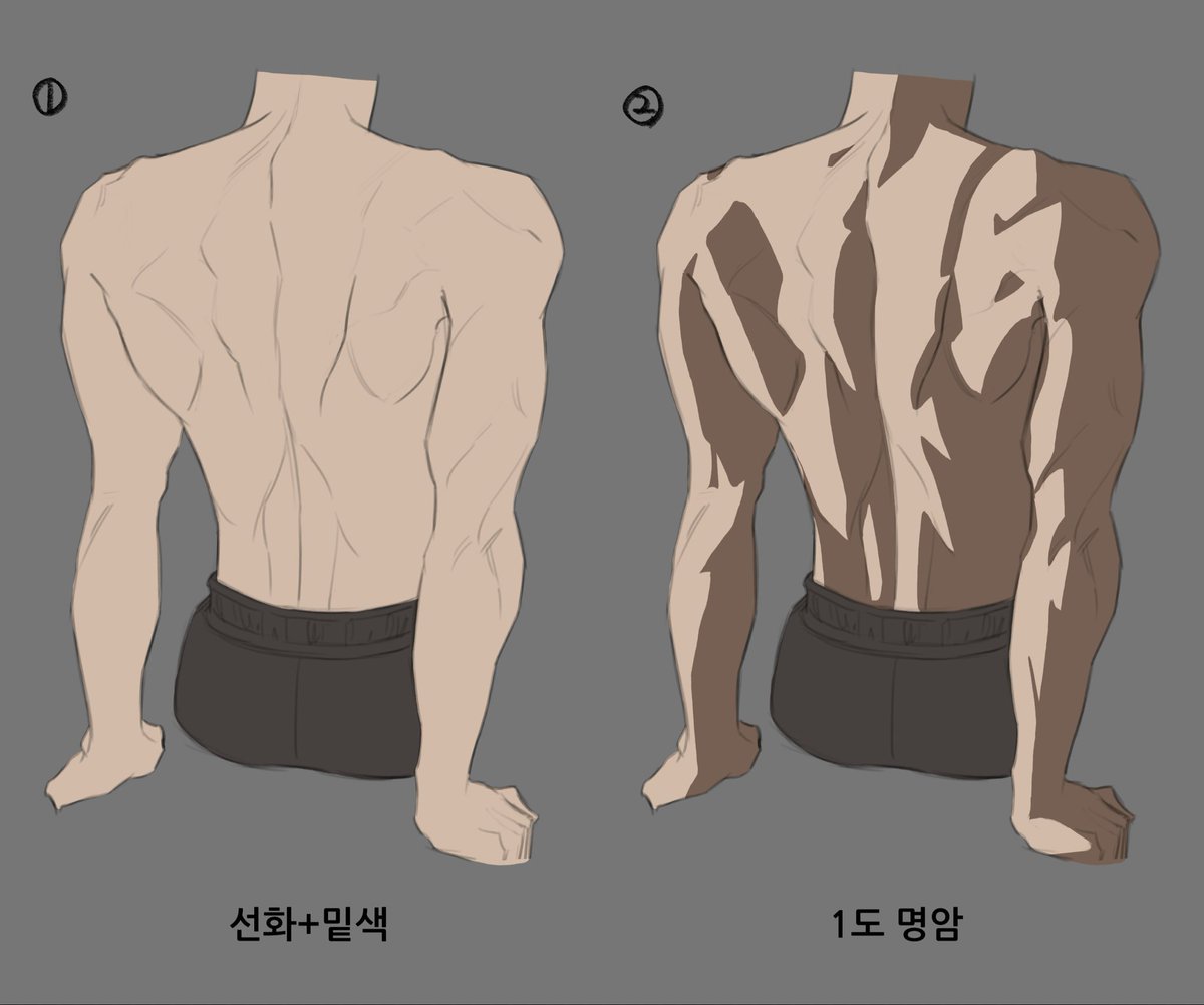 IamNarot's tweet photo. 등근육 과정 ✧⊹ ₊ ˖ https://t.co/mj2yMlUkZv