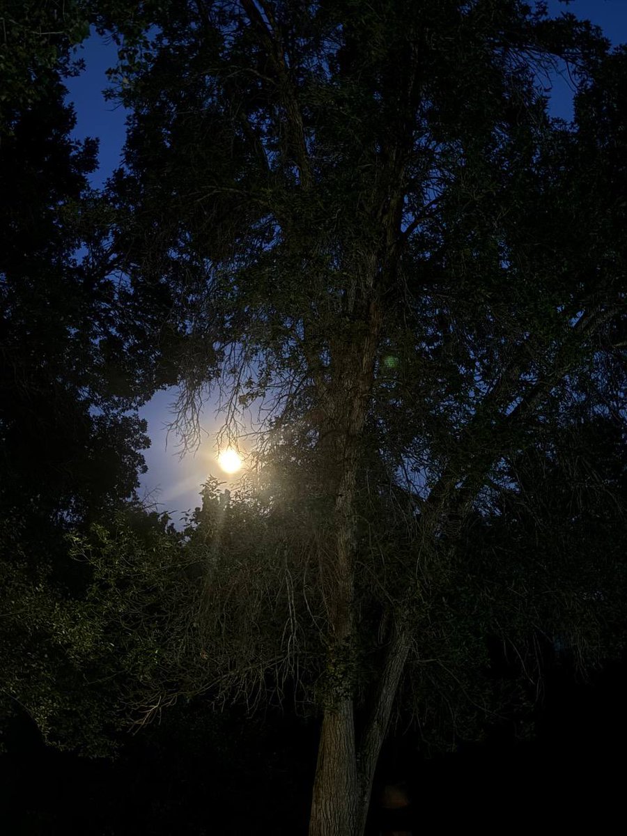 k0vabelle's tweet photo. late night walks 🌌 https://t.co/Vfym0v0XDF
