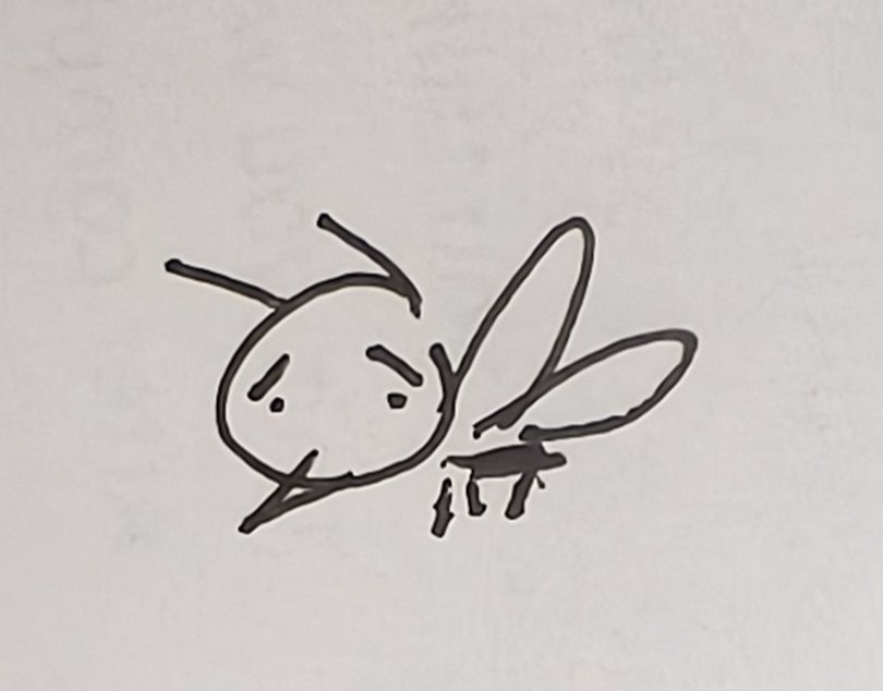 wimeeeey's tweet photo. mosquito和mequot有区别吗 https://t.co/TwztoejGJF