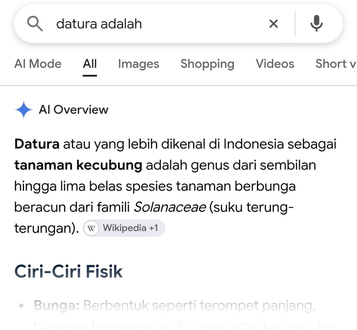 ThanaKusuma's tweet photo. > Ngeliat drama LADS yang baru. 

> Pada bilang bunga Datura tu beracun jadi jangan sekali2 nyoba ngebikin minumannya

> *googling Datura tu bunga apaan*

OALAH KECUBUNG https://t.co/KPCVwP14yx