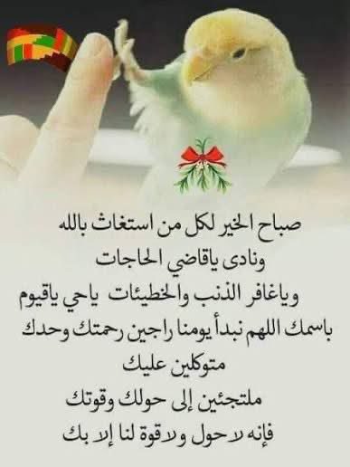 mmdmd05312199's tweet photo. @SKqmal آمين آمين يالله جزاكم الله خيراً وبارك الله فيكم https://t.co/oKgdhAeFDC