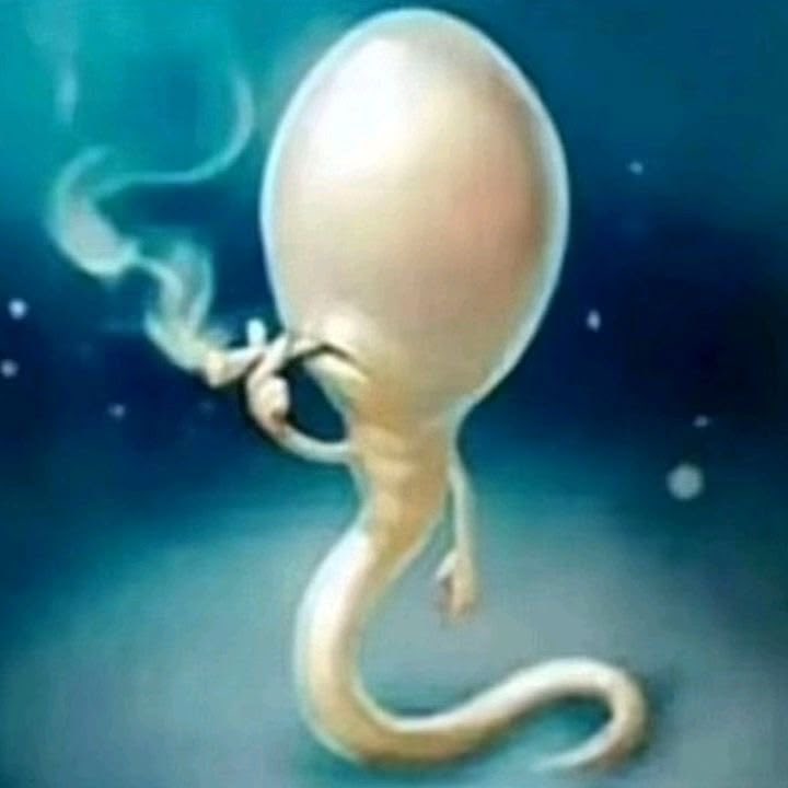 abusivved's tweet photo. @mystfllaL Veniste a imponer esa moda https://t.co/rEcID8H3jS