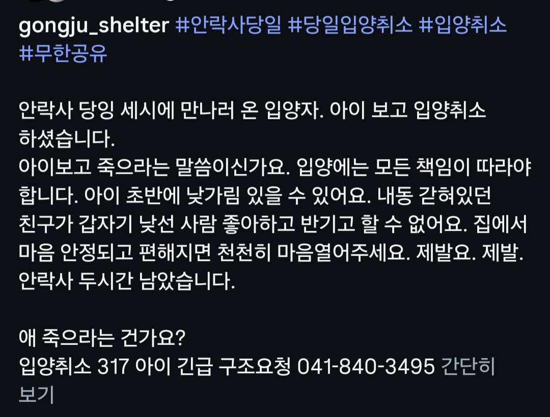 animalrtaccount's tweet photo. 미친건가요? 입양하러와서 아이보자마자 마음에 안든다고 입양취소되서 칼안락사 오늘 당일 예정입니다
입양문의 041 840 3495 https://t.co/R0geaeFdOd