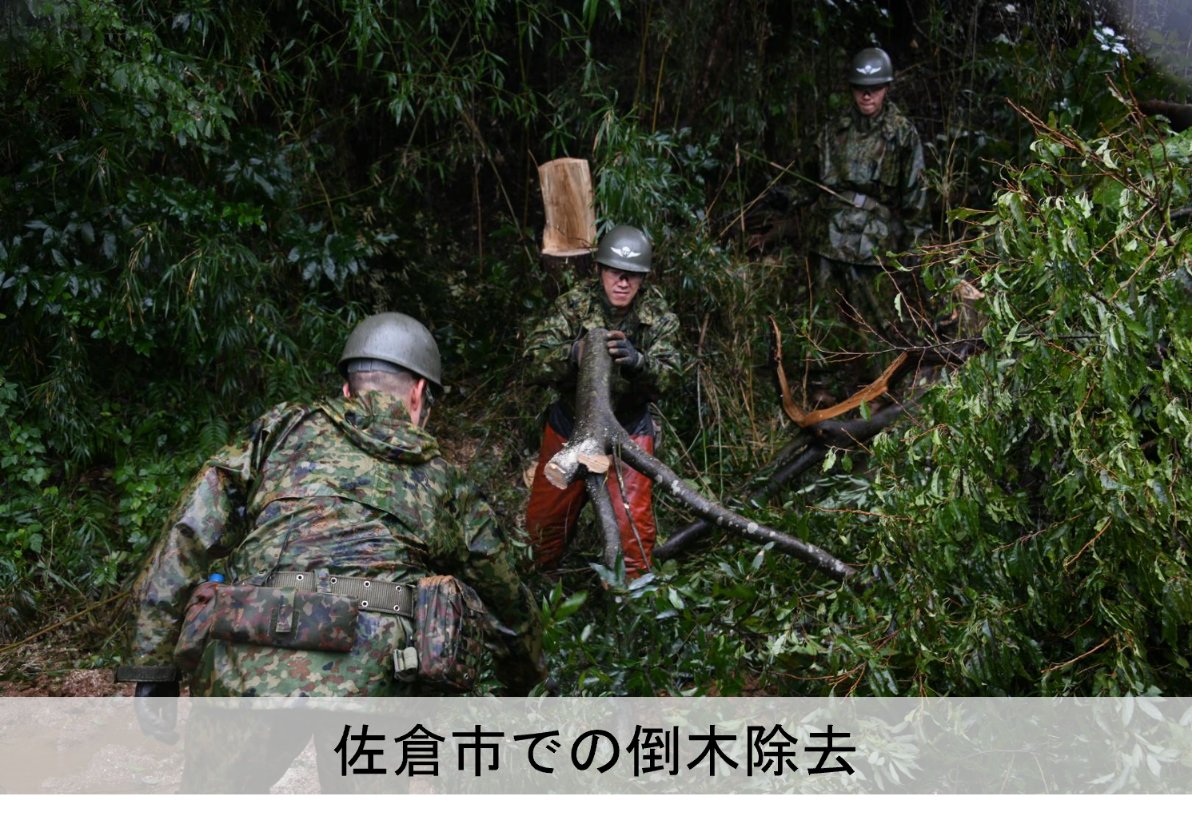 ModJapan_saigai's tweet photo. 自衛隊は本日も、陸自第１空挺団（習志野・千葉）が千葉県内の各地で活動しています。
一昨日から、県内７市において、倒木のため道路啓開に必要な重機が進入できない緊急性の高い道路で倒木撤去を実施しており、昨日までに東金市、市原市、茂原市、君津市、佐倉市での倒木の撤去を完了しました。
本日午前には木更津市、鴨川市での撤去も完了し、自衛隊に要請があった全ての地域における倒木撤去を終了しました。