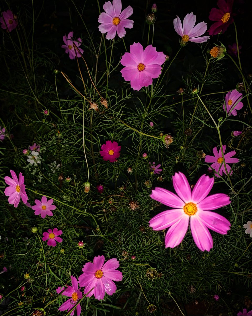 cheerchikie12's tweet photo. Photo by Olga Ivleva on August 07, 2026. May be an image of text. https://t.co/w9EqPUUxZe