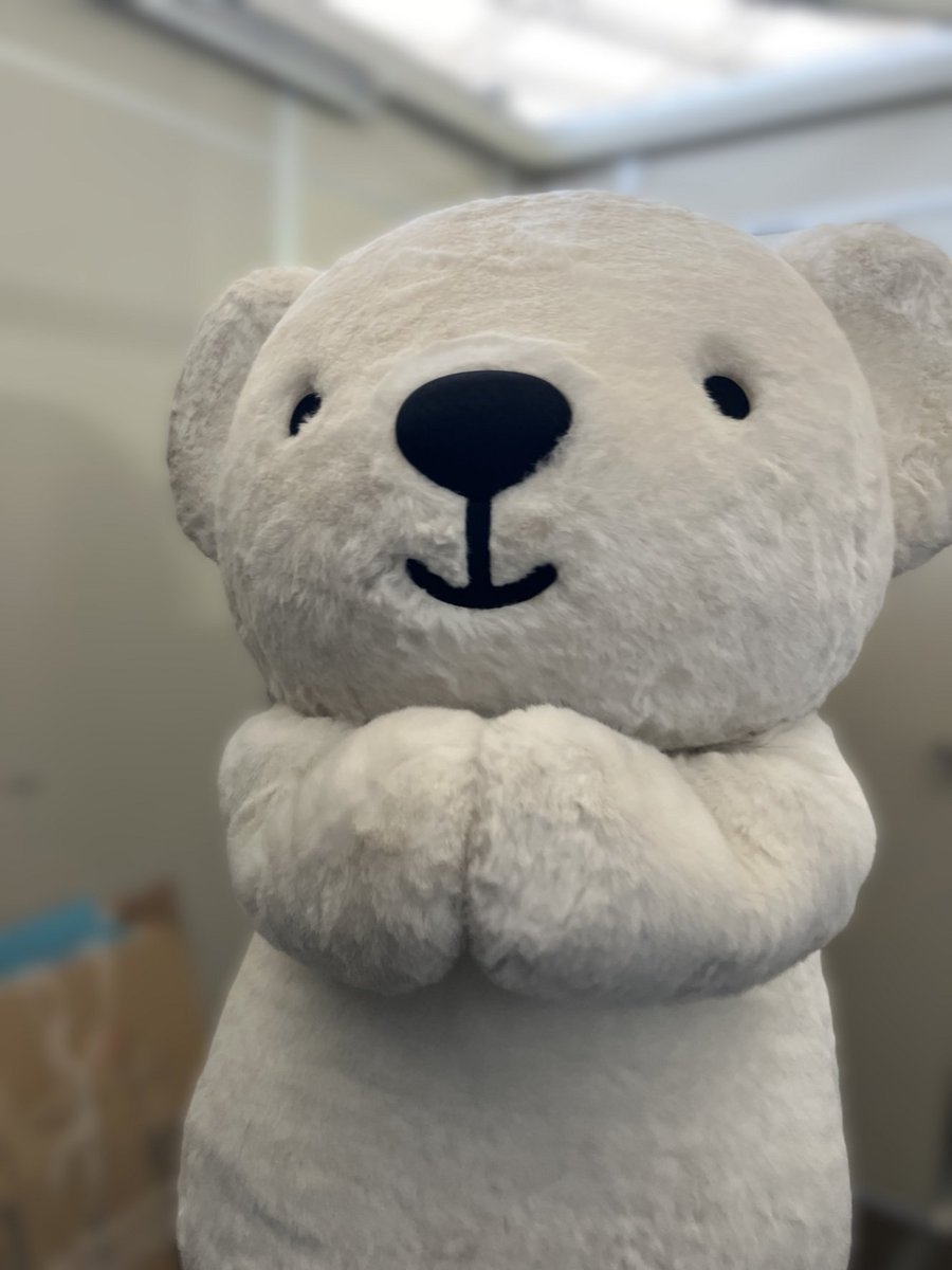 airdo_hokkaido's tweet photo. ベア・ドゥにぎゅってされるには、どうすれば良いのかなあ！ • ᴥ • https://t.co/hBSXaHUvyB