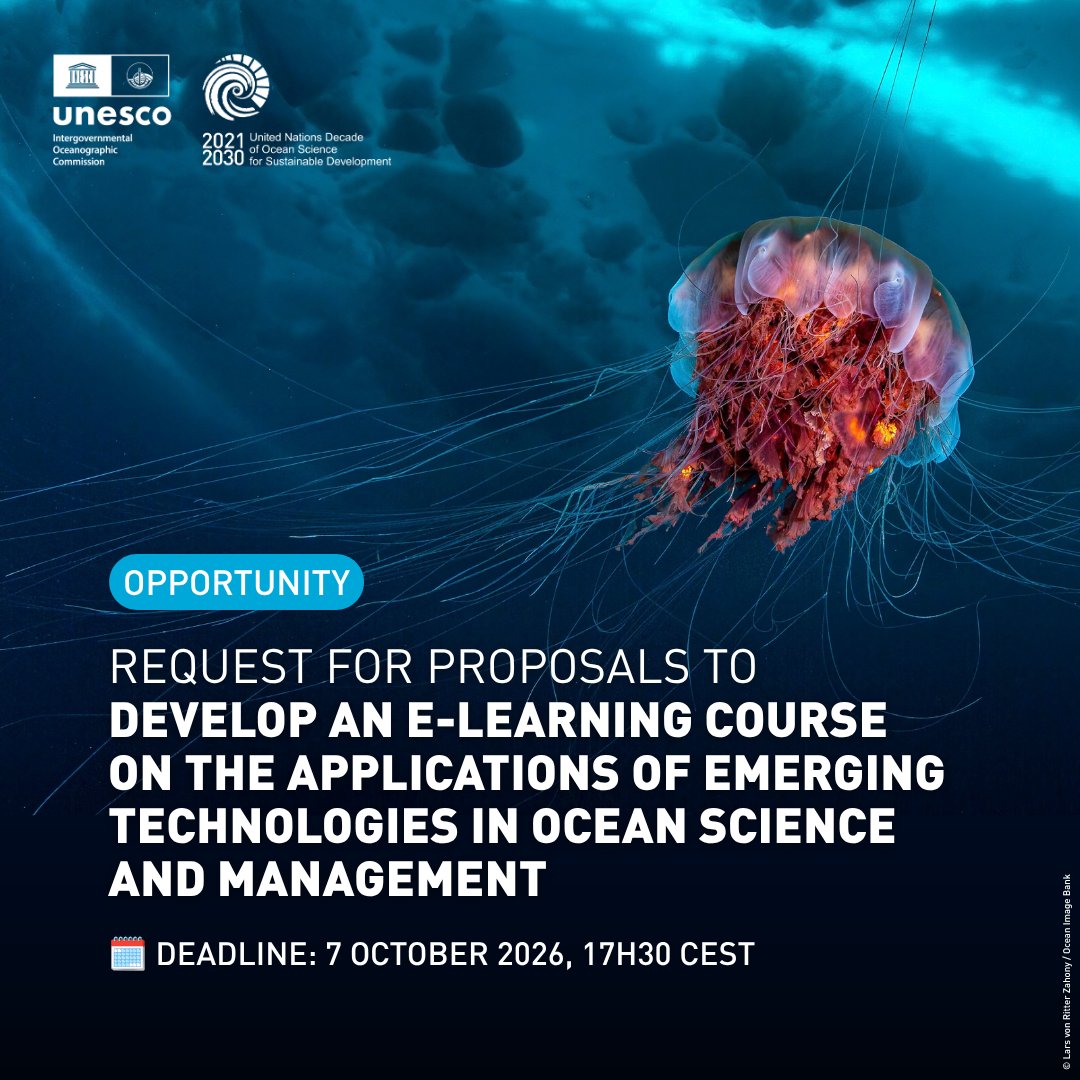 UNOceanDecade's tweet photo. 🔵 Open now: Support the #OceanDecade and @IocUnesco in developing an introductory e-learning course for ocean practitioners on the applications of emerging technologies in ocean science and management.
Send your proposals now: https://t.co/BgZdsCYanH https://t.co/bLeDv4YWut