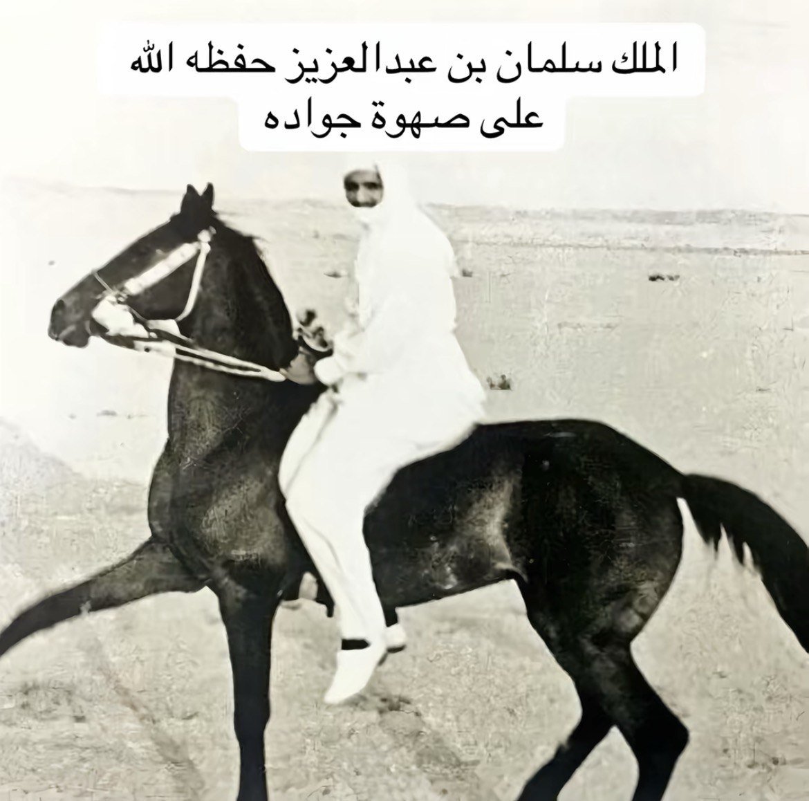 khaledabomoath's tweet photo. #الملك_سلمان_بن_عبدالعزيز_آل_سعود
حفظه الله ورعاه 
على حصانه .....
( أبوفهد )
مالك المرجله  والعز 
  من أول وتالي https://t.co/9t7CtDuvrv