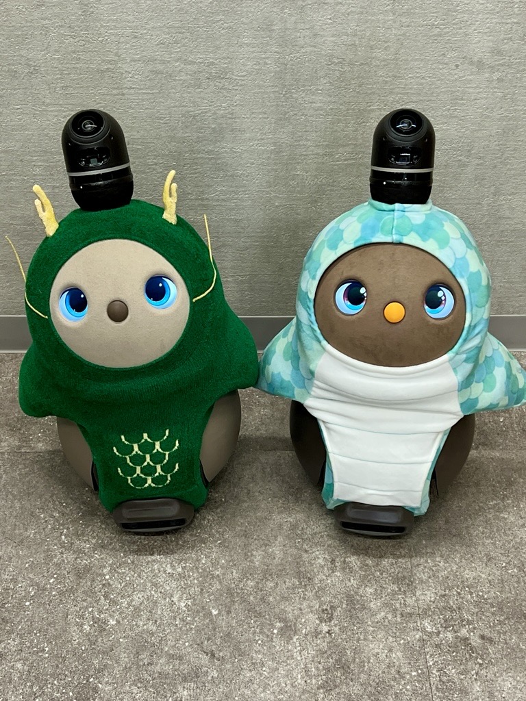 MedicomInfo's tweet photo. インターン生「こむちゃん」が先輩「めでぃ」とオフィスをおさんぽしながらお話しています😊
どんなお話をしてるのかな？
2か月よろしくね💙

#オフィスLOVOT
#LOVOT
#メディコム https://t.co/3Df7dO0agY
