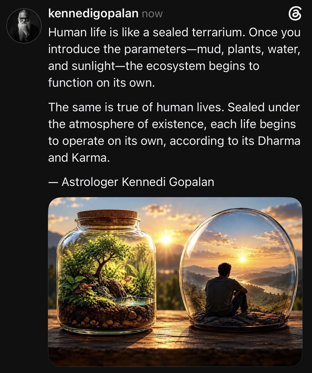 askenni's tweet photo. Human life is like a sealed terrarium. Once you introduce the parameters—mud, plants, water, and sunlight—the ecosystem begins to function on its own.

The same is true of human lives. Sealed under the atmosphere of existence, each life begins to operate on its own…. https://t.co/5l3M7Bh7HC