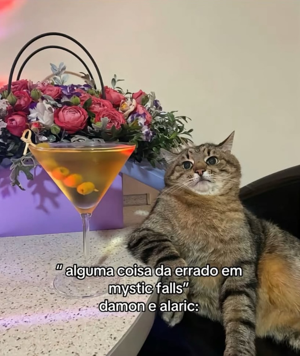 kelstind's tweet photo. Photo by Tvdvampiresbrazil in Mystic Falls with @tvducreations. Might be a cocktail shaker meme. https://t.co/ZxKkIvJqnz