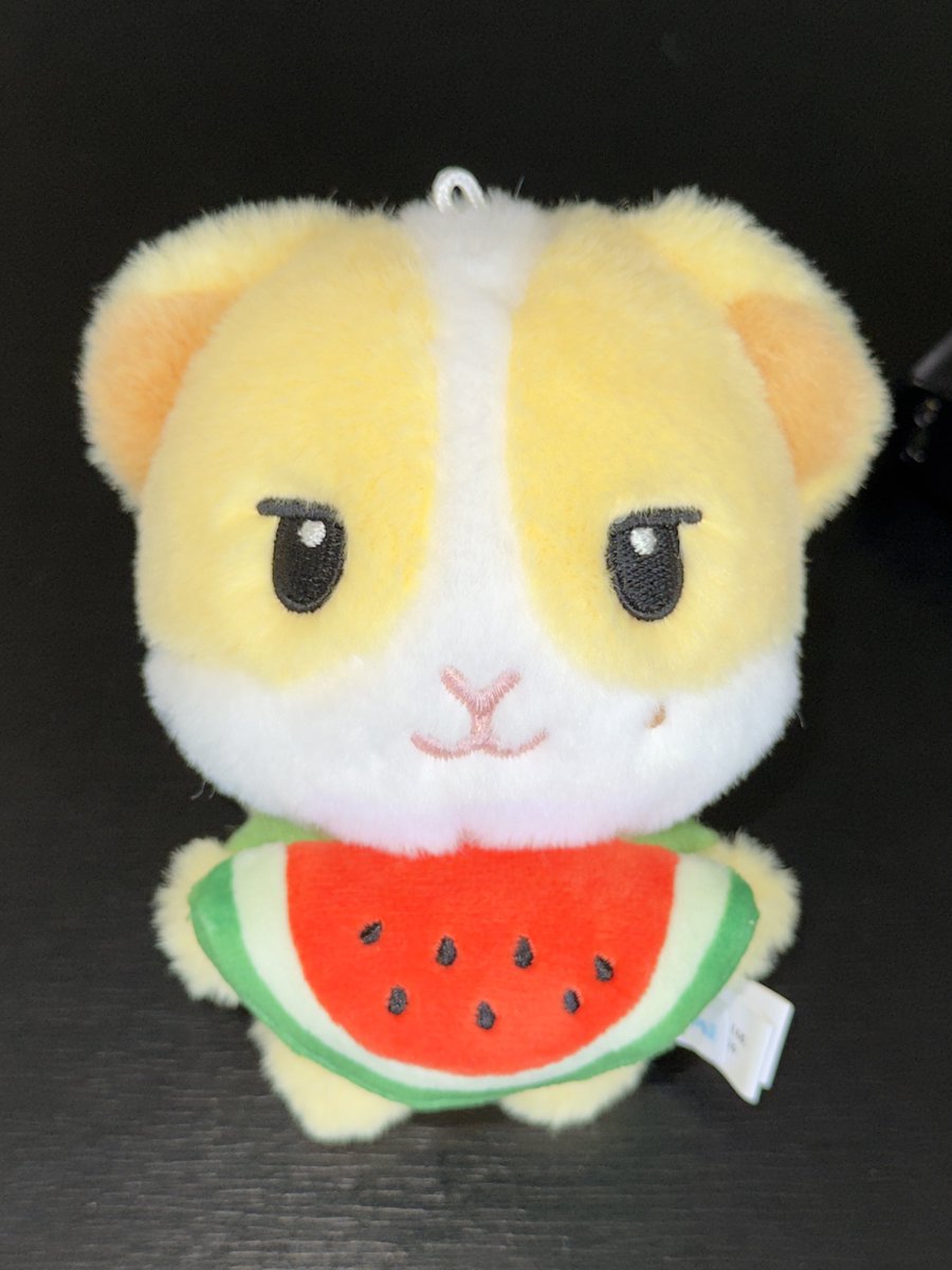 ynjel3bun's tweet photo. 내기츄니들 개존예미쳣음 팔불출될것같아요 https://t.co/DPyWkbHnwG