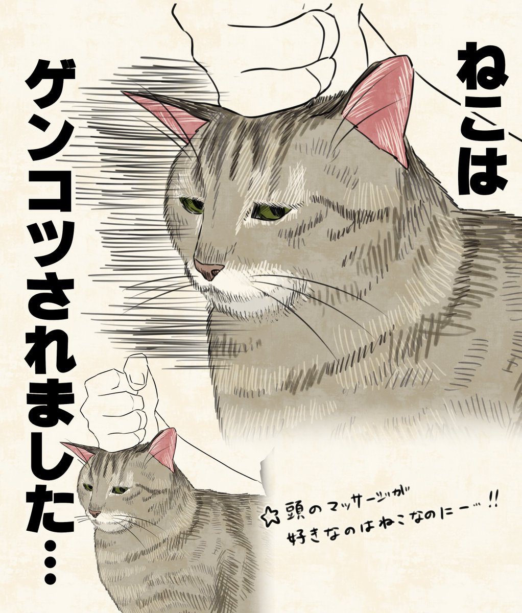 kuiruri's tweet photo. 被害者の顔する猫、かわいい… https://t.co/fdaiWPxi0w