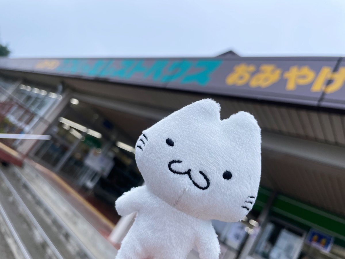 tsukubanyan02's tweet photo. 「つくばにゃんのマスコットが欲しい！」という沢山の要望にお応えして、ついに登場🐱✨

🐾発売日は2026年10月10日（土）🐾

バッグやリュックにつけて、いつでも #つくばにゃん と一緒にお出かけできます！

ぜひお気に入りの場所に連れて行ってあげてください😊

#筑波山
#つつじヶ丘レストハウス https://t.co/e28Q3IHasF