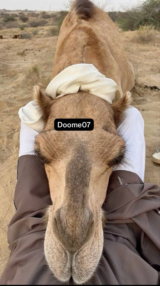 Doome07's tweet photo. عطايا الله https://t.co/uriMeq3RMo