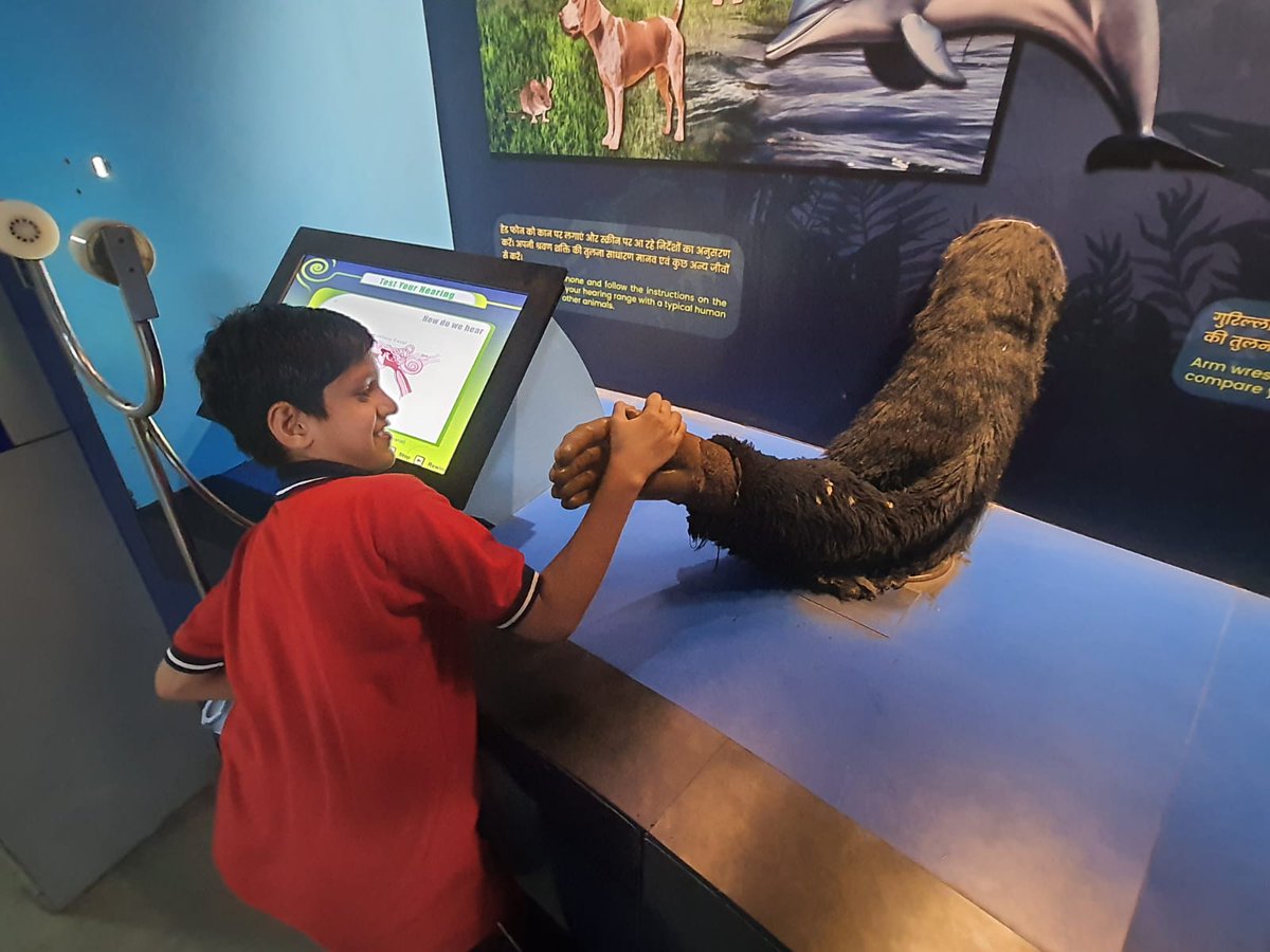 NSC_Delhi's tweet photo. Think you can beat a Gorilla in arm wrestling?🦍💪🔥

@NSC_Delhi lets you test human vs animal strength in the coolest way possible!🏋️‍♂️⚡

Tag a friend who thinks they can win this battle!👇

#NSCDelhi #GorillaStrength #ScienceIsFun #InteractiveLearning #NCSMi https://t.co/0B9k3eDjor