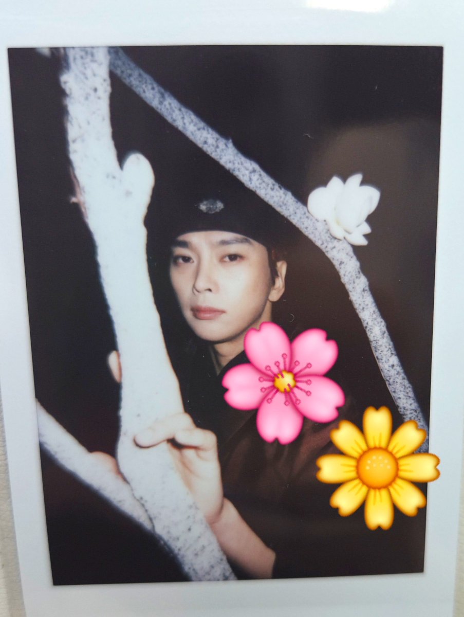 ODOKANI_'s tweet photo. 흠 미묘하군🤔어틍 폴뽑해따 

그대와 참 닮았습니다~ 그래서 붇곳 옆에서 찍으신거아닙니까???
꽃가틍 석방원🌸🌼 https://t.co/JEJkjlunrF