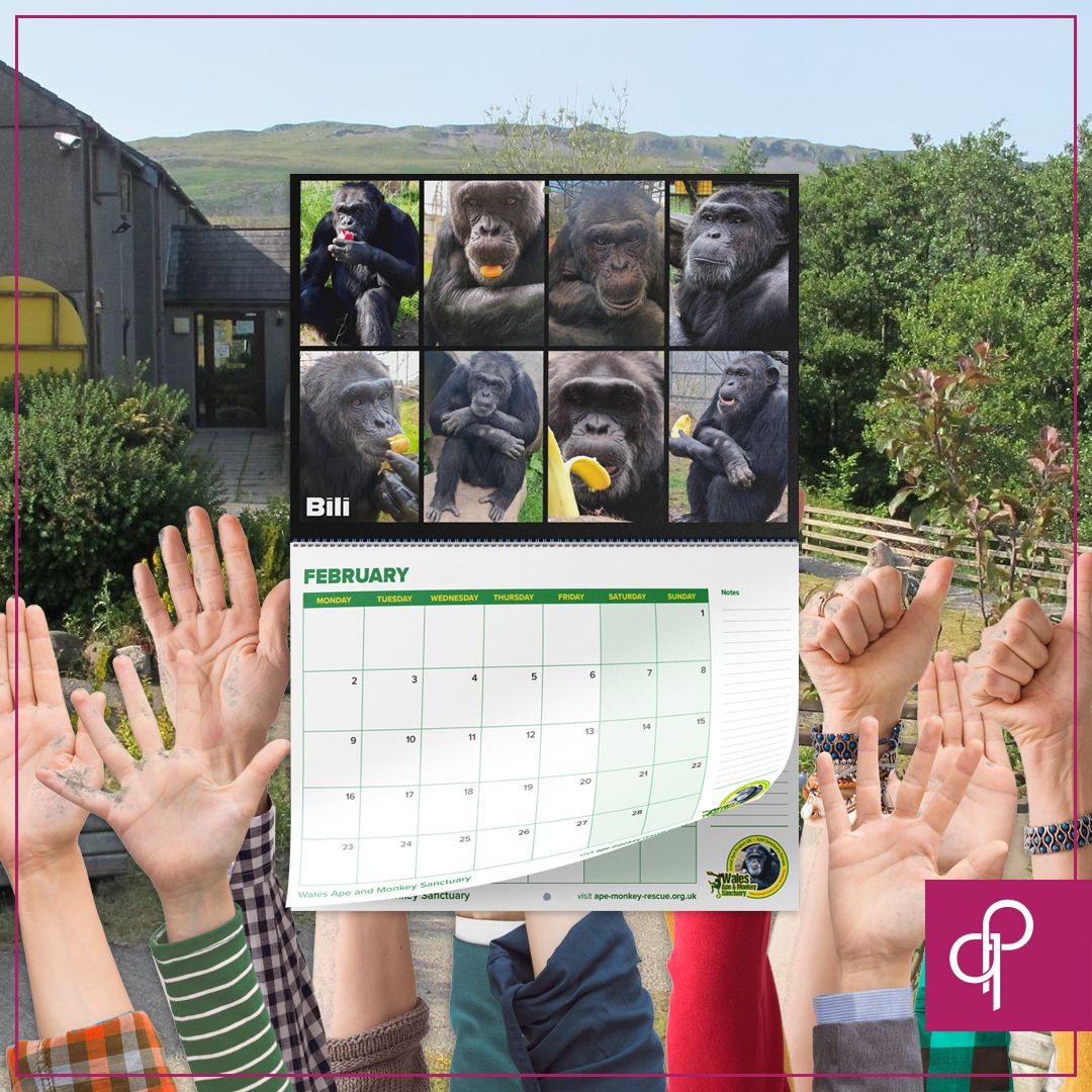 QuickPrintUK's tweet photo. It’s the last day for 10% OFF all calendar &amp; wall planner orders! Take advantage TODAY with the code ‘EARLYCALS’! They’re the perfect corporate gift or fundraising tool…with options for all budgets! 🗓️https://t.co/4iKIsDSp4L

#Calendars #Branded #GiftIdeas #NewYear #2027Calendar https://t.co/aXLgR76wH9