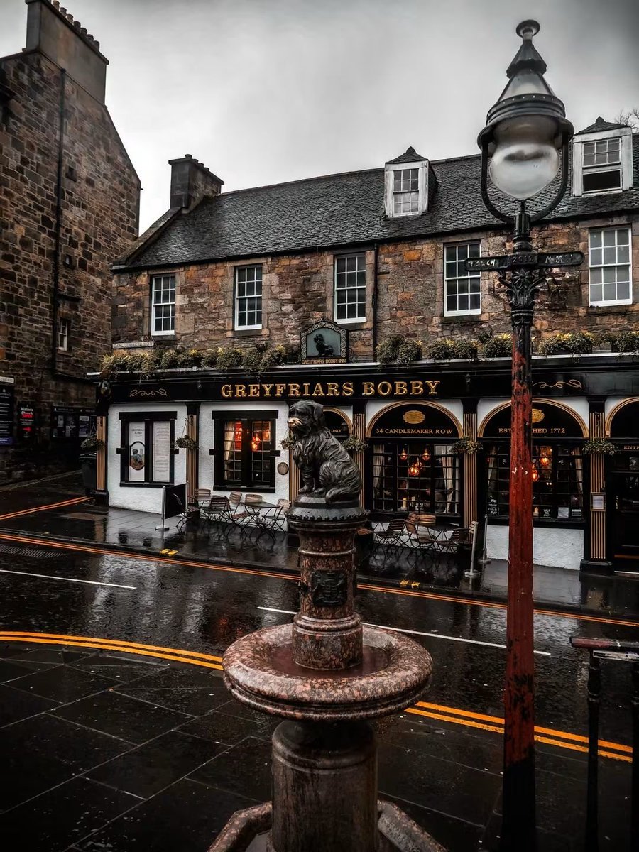 Alina_bloom79's tweet photo. Edinburgh, Scotland.. 🏴󠁧󠁢󠁳󠁣󠁴󠁿 https://t.co/jWcVdYCU2T