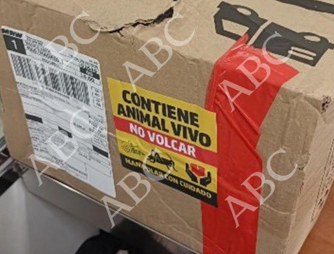 KettyGarat's tweet photo. #Exclusiva ABC accede a las fotografías de las cajas de cucarachas que mandaron a la sede de Urbagestión, las amenazas vía telefónica y por correo electrónico. Un aluvión de coacciones que derivó en un acuerdo forzado para Maricarmen. https://t.co/G0g9lr1ZLk