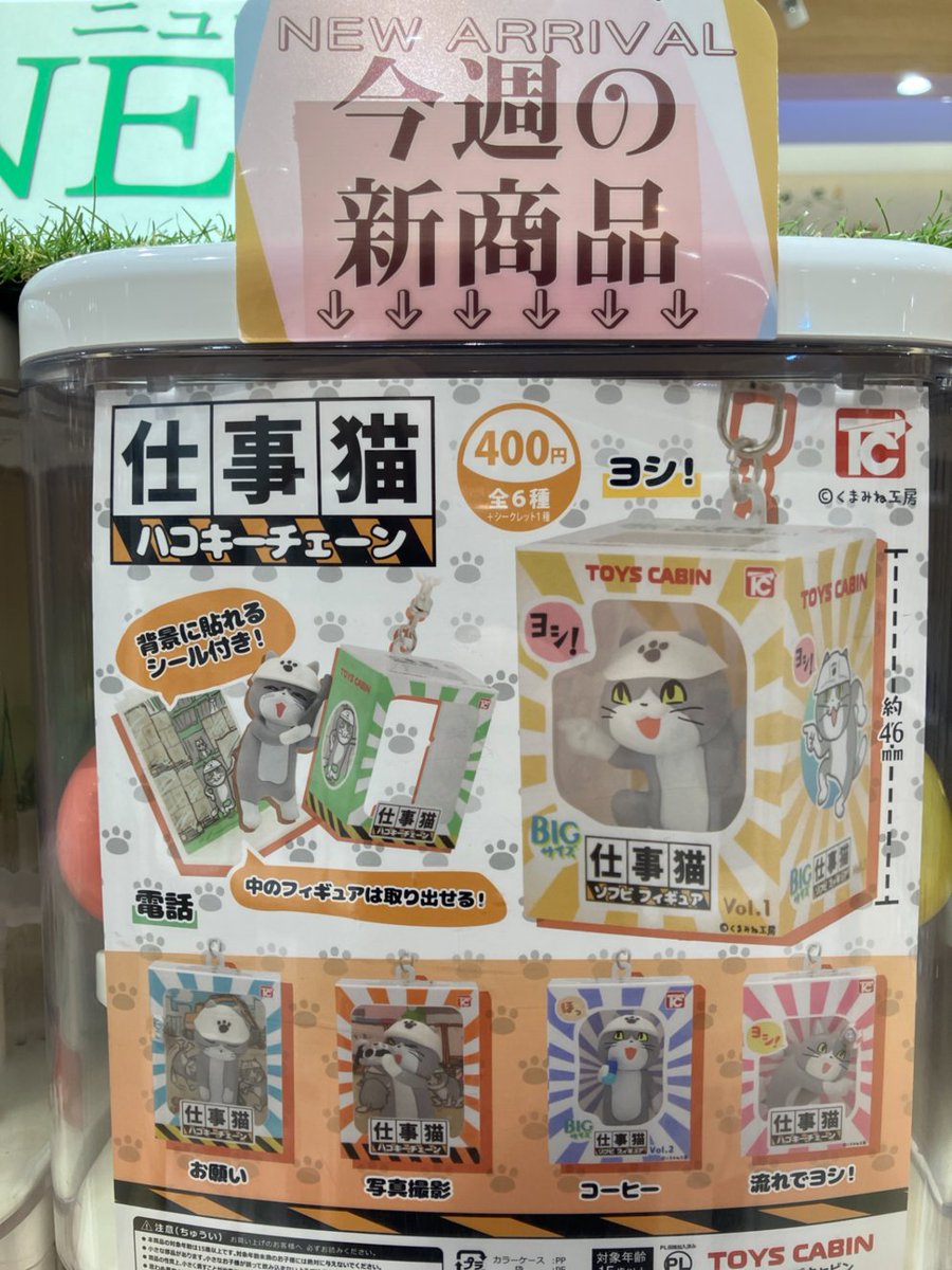 gashacoco 公式X（本部）の入荷情報の写真