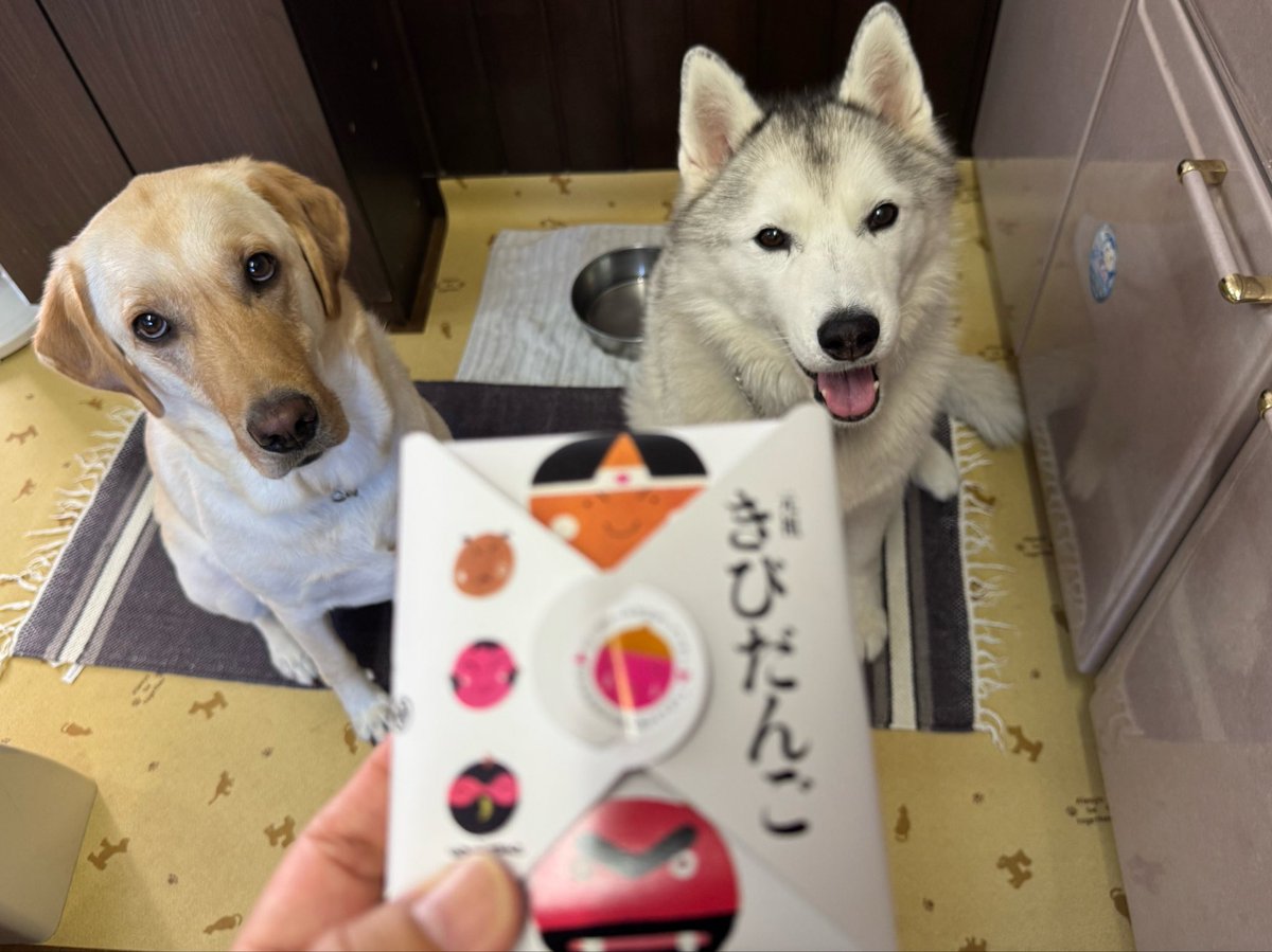 BQx6DDsrtCKst3Z's tweet photo. ついてきてくれると言うのか？ https://t.co/yywl9o8Kzx