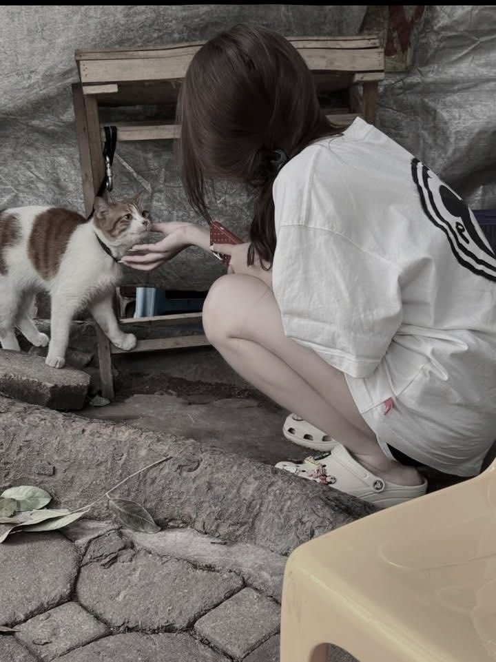 b3mbabe's tweet photo. https://t.co/du4jqXgMDy