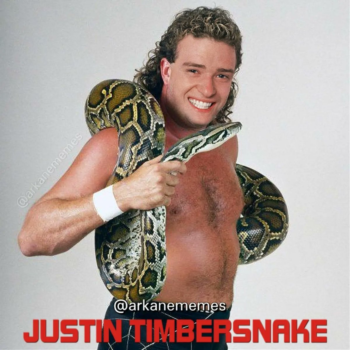 MyHomebbgPage's tweet photo. Photo shared by Arkane Memes on August 19, 2026, tagging Justin Timberlake and Jake the Snake. It may be a meme featuring a snake with the text: “JUSTIN TIMBERSNAKE. https://t.co/kar9iXzN8u