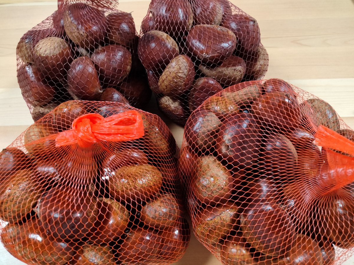 eiyoucsflat's tweet photo. 今年も食育の秋到来！🍁🍂🌰🌰🌰
計画立ててまーす https://t.co/hEgfJPMRoQ