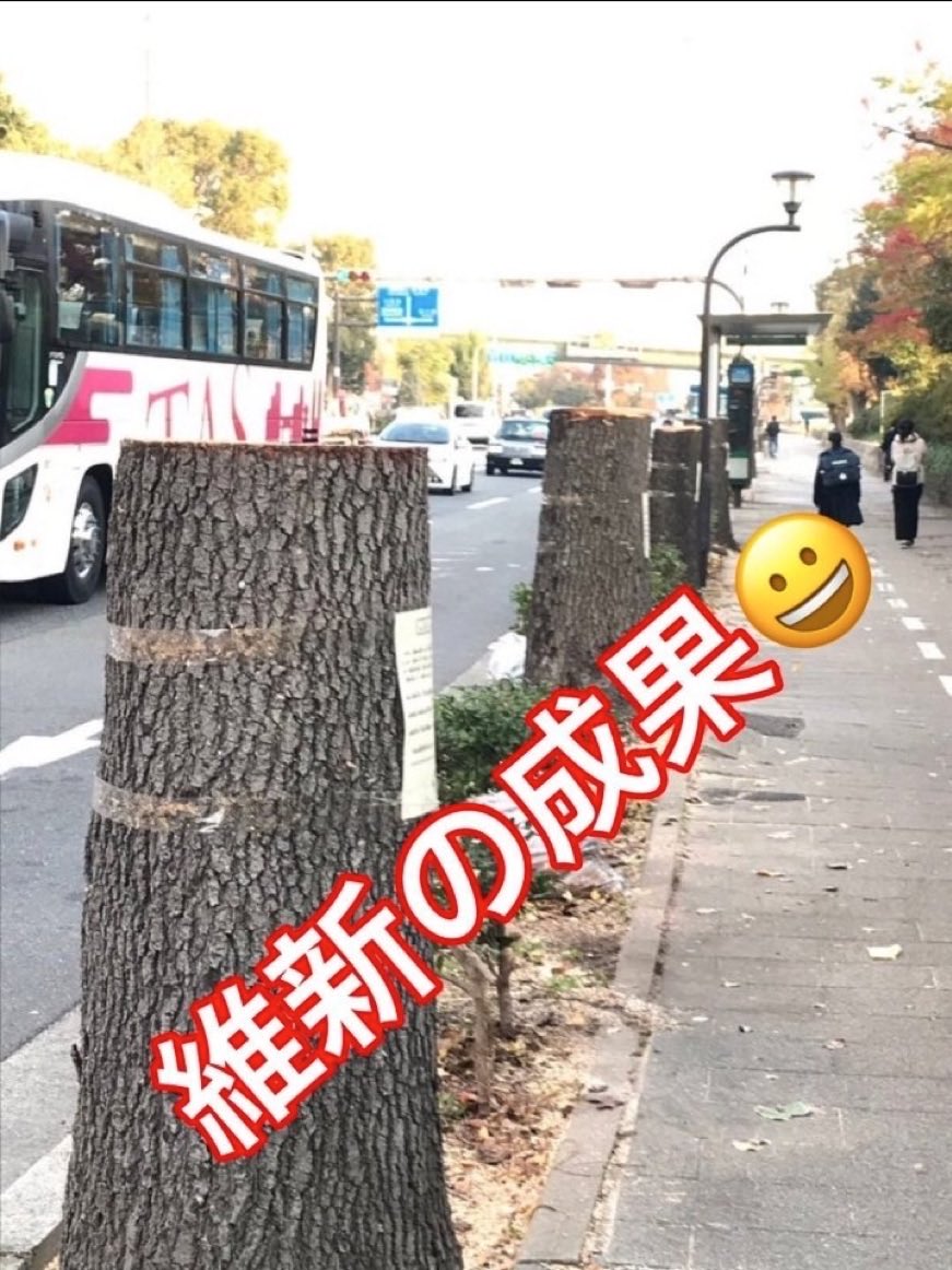 houz8u's tweet photo. 木を切る改革‼️ https://t.co/fN1ACZkGgq