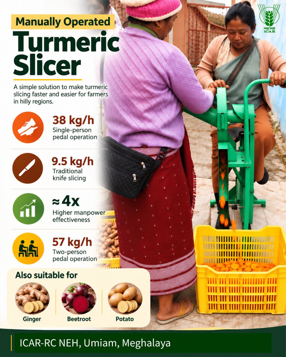 icarindia's tweet photo. Making turmeric processing easier! ICAR-RC NEH’s manual slicer delivers 38 kg/h vs 9.5 kg/h by knife slicing—reducing drudgery and improving small-scale processing. #ICAR @ChouhanShivraj  @mpbhagirathbjp  @RNK_Thakur @AgriGoI @PIB_India @mygovindia https://t.co/IljS6uYqWU