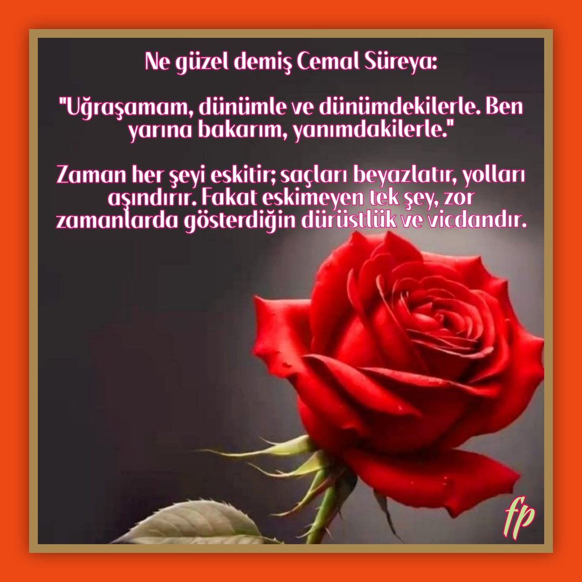 FikriPala's tweet photo. https://t.co/yRBFLiykJf