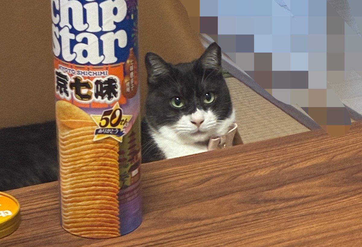 Imakfnx's tweet photo. 우리집 고양이 https://t.co/s3YuOepIkJ