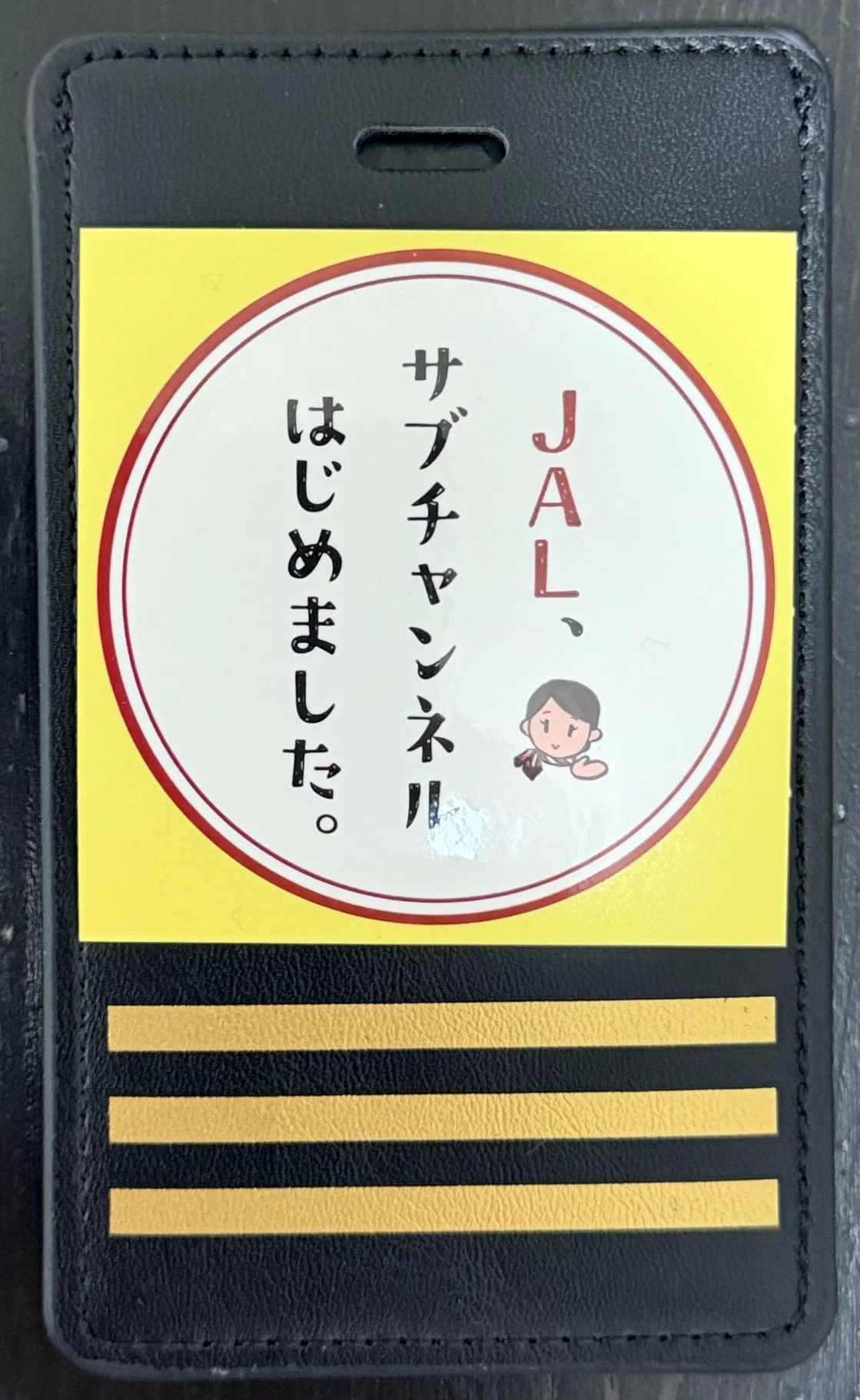 𝙎𝙃𝙄𝙉⁺ JALサ部✈︎747 on X: 
