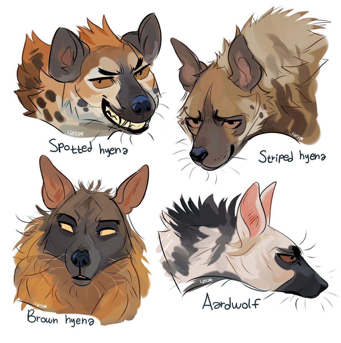 ljesak's tweet photo. hyenas! https://t.co/0zr94fuamO