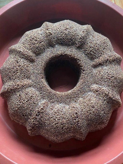 A textured, gear-shaped or star-shaped gray object with a hole in the center, sitting in a red bowl.