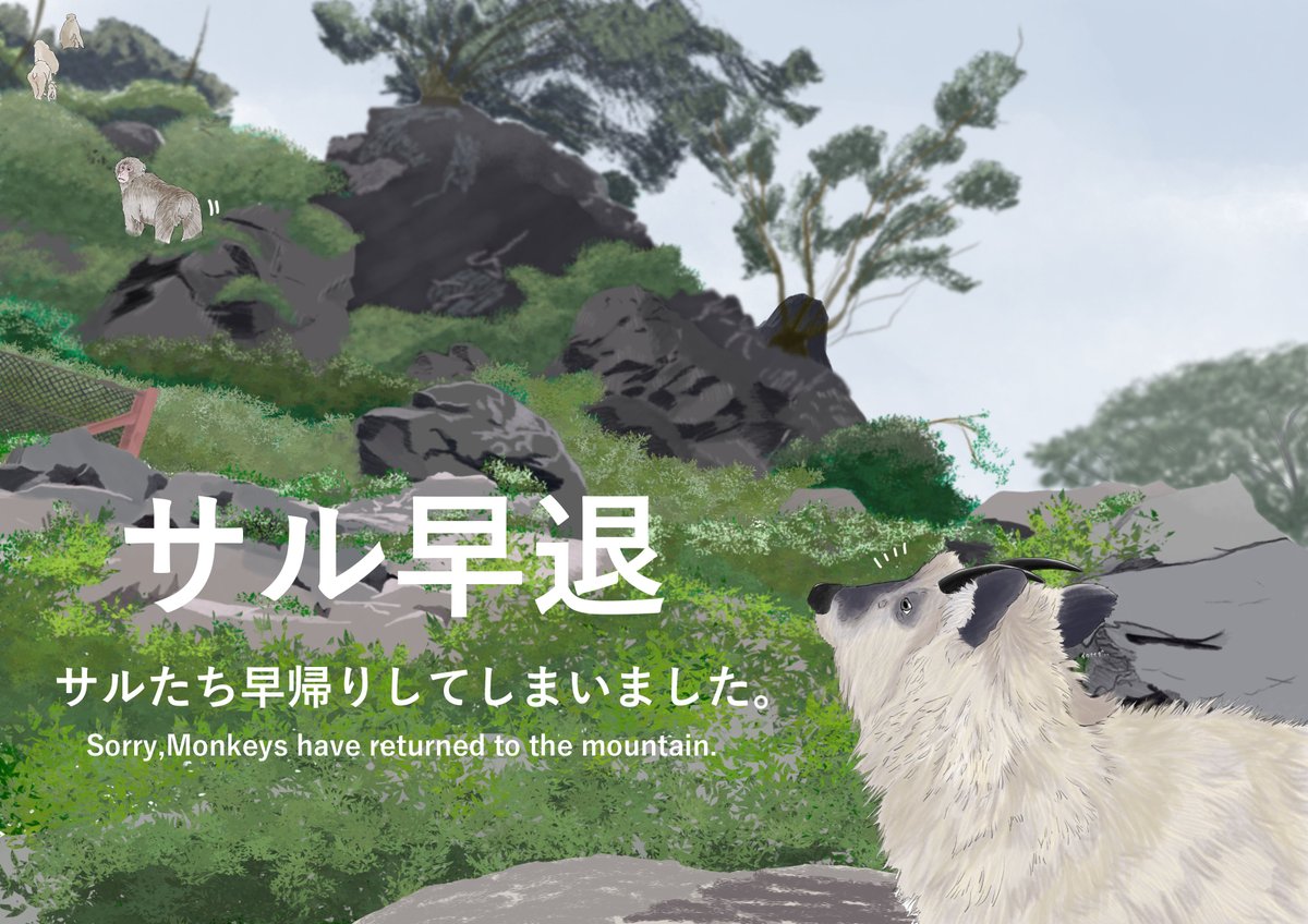 jigokudani_saru's tweet photo. 9/30　15:30 サルたち山へ帰ってしまいます

サルたち山へ帰り始めています。

この時間まで度々山へ帰りそうな雰囲気があったので、その都度呼び戻していましたが、限界のようです。

この後、サルたちが公苑に戻ってくる可能性はとても低いです。
明日以降の来苑をご検討ください。 https://t.co/uT2PTuOEoO