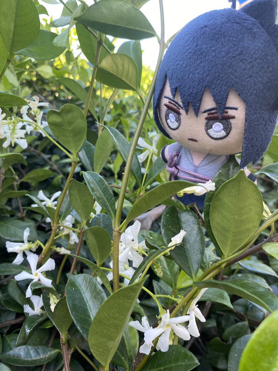 sasucakies's tweet photo. i had a very hard day today but i managed to take some sasunui pics 🩷 we are going to sail away together!!! https://t.co/IaHDWmJaRw