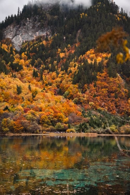 literaturamel's tweet photo. Rojos fuego, amarillos dorados y aguas turquesas tan cristalinas que parecen un espejo. Así amanece en el valle de Jiuzhaigou🇨🇳, donde el otoño no solo se ve, se contempla. 🍁✨

¡Buenos días! Que hoy encuentres tu propio paisaje. ☀️🍂 https://t.co/CUHwoaV0Fi