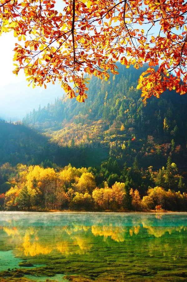 literaturamel's tweet photo. Rojos fuego, amarillos dorados y aguas turquesas tan cristalinas que parecen un espejo. Así amanece en el valle de Jiuzhaigou🇨🇳, donde el otoño no solo se ve, se contempla. 🍁✨

¡Buenos días! Que hoy encuentres tu propio paisaje. ☀️🍂 https://t.co/CUHwoaV0Fi